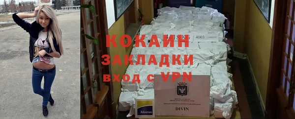 мдпв Заводоуковск