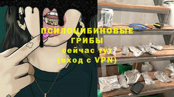 мдпв Заводоуковск