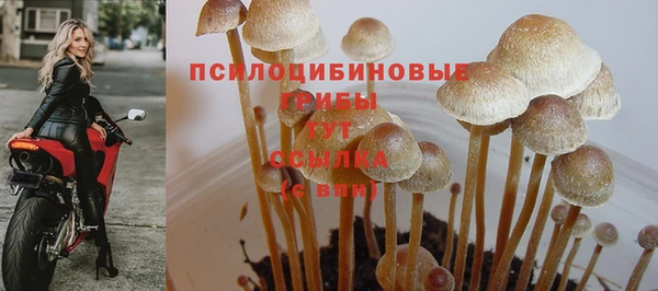 мдпв Заводоуковск
