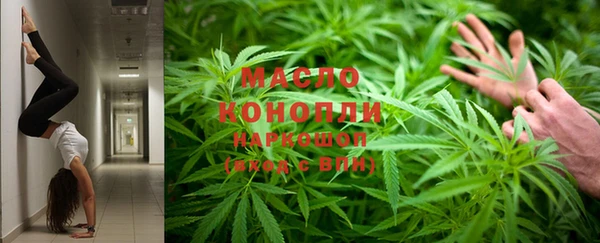 мдпв Заводоуковск